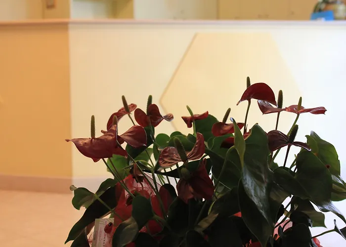 Pensionat Hh Il Gabbiano 3*